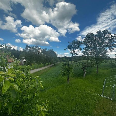 Ferienunterkunft Schwaebischer Wald Oberrot Eksteriør billede