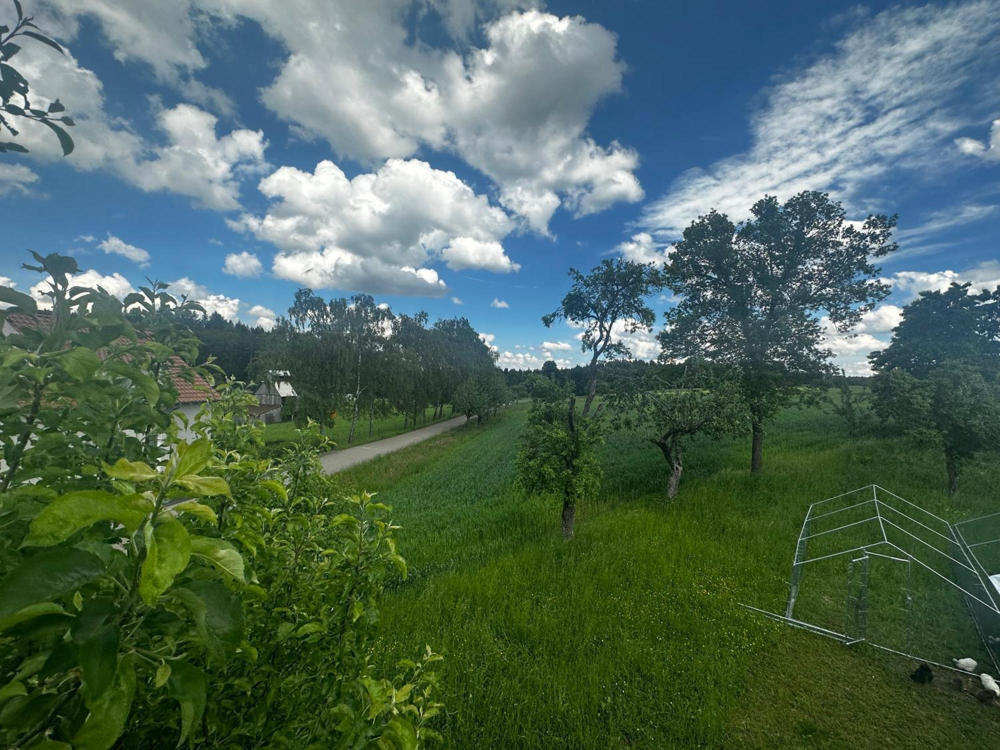 Ferienunterkunft Schwaebischer Wald Oberrot Eksteriør billede