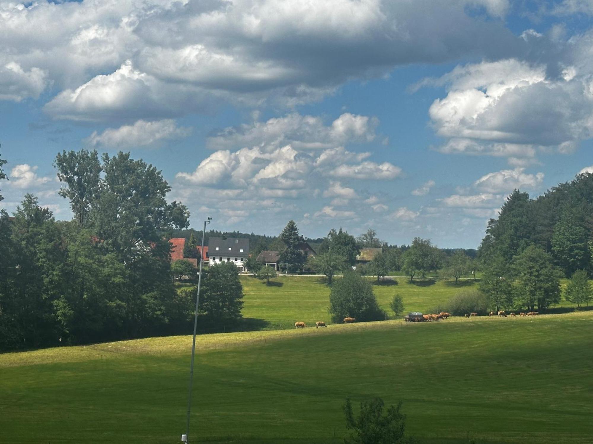Ferienunterkunft Schwaebischer Wald Oberrot Eksteriør billede