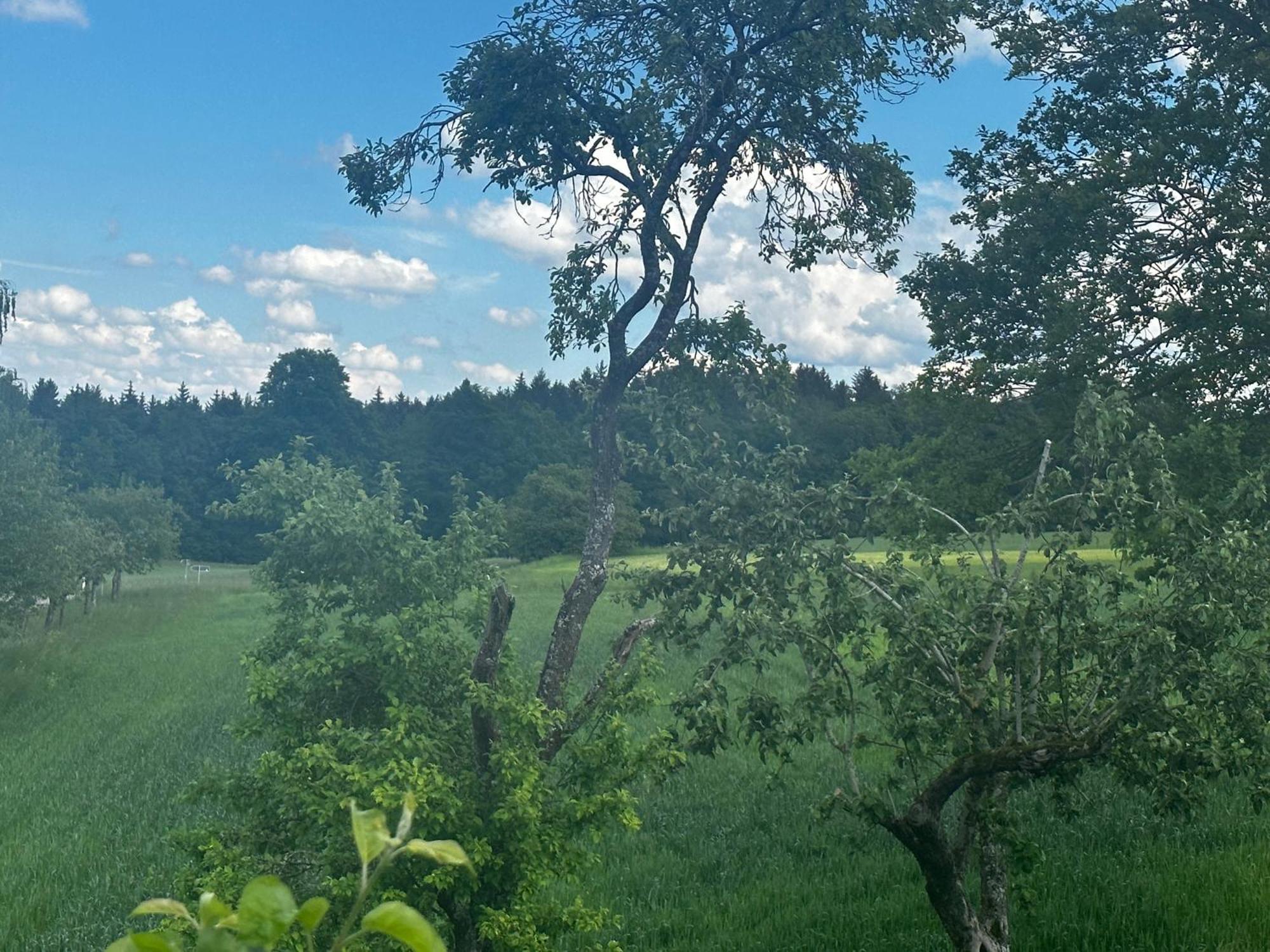 Ferienunterkunft Schwaebischer Wald Oberrot Eksteriør billede